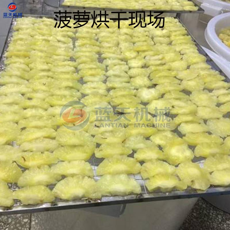菠萝片哄干机 凤梨菠萝去皮切片烘干整套设备 空气能菠萝圈烘干机