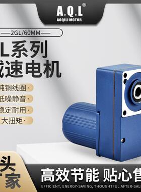 奥奇力GL系列园电机2GL/60mm4GL/80mm纯铜线圈厂家直发