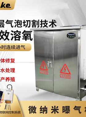 岸边式微米曝气机水下气泡发生器过滤设备不锈钢材质高纯度微氧