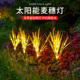 太阳能麦穗灯户外灯庭院公园布置氛围灯防水景观装 饰灯地插草坪灯