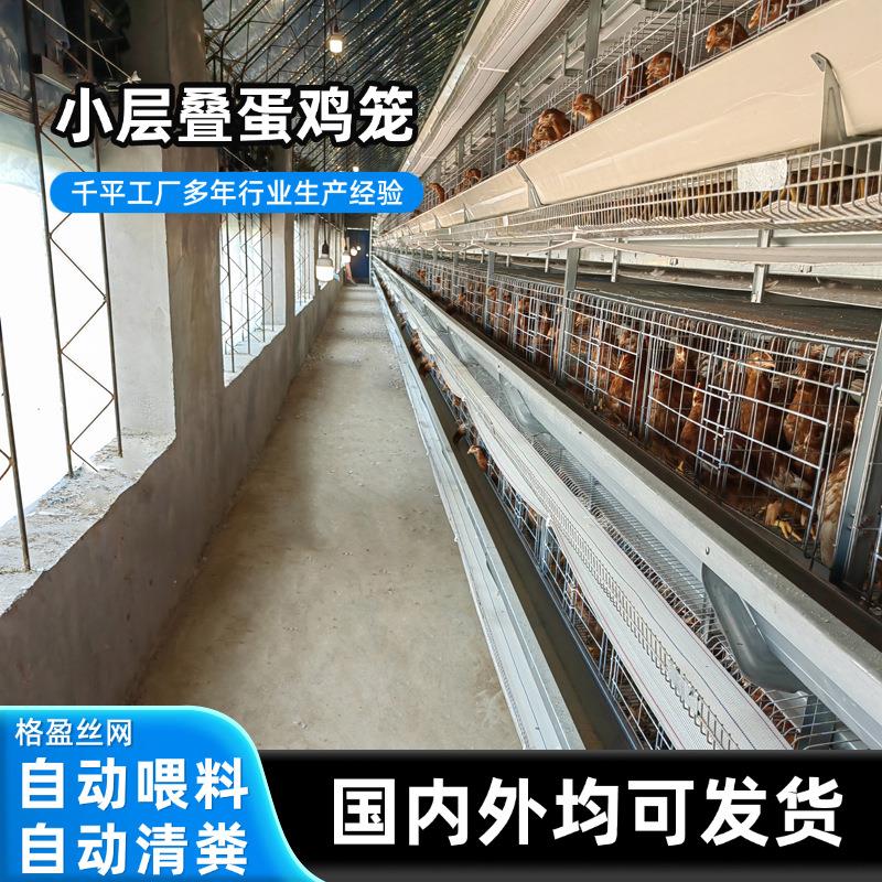 H型小层叠蛋鸡笼热镀锌层叠式鸡笼框架全自动化蛋鸡养殖设备