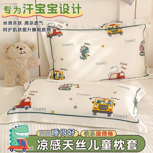 莱赛尔天丝儿童枕头套30x50夏季卡通冰丝枕套40x60枕芯内胆套
