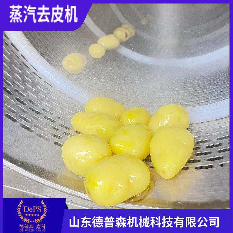 厂家直供土豆莲藕清洗去皮机果蔬脱皮机黄桃猕猴桃蒸汽去皮机