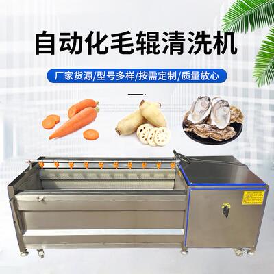 全自动荔浦芋头磨皮机马蹄荸荠去泥清洗机人参去皮毛辊清洗机