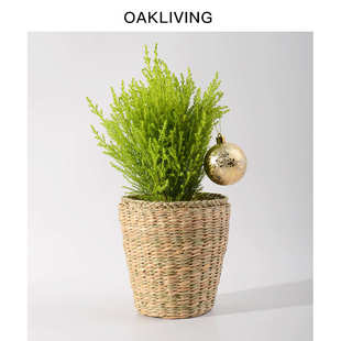 家用海草手工编织篮进口天然海草杂物收纳篮花盆储物篮家居摆件