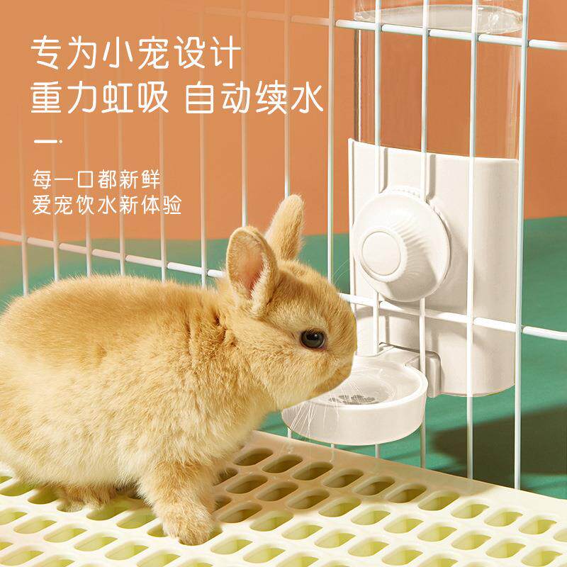 兔子水壶荷兰猪喂猫水容壶6QYK00ml大量舔水碗兔龙子豚鼠自动饮水