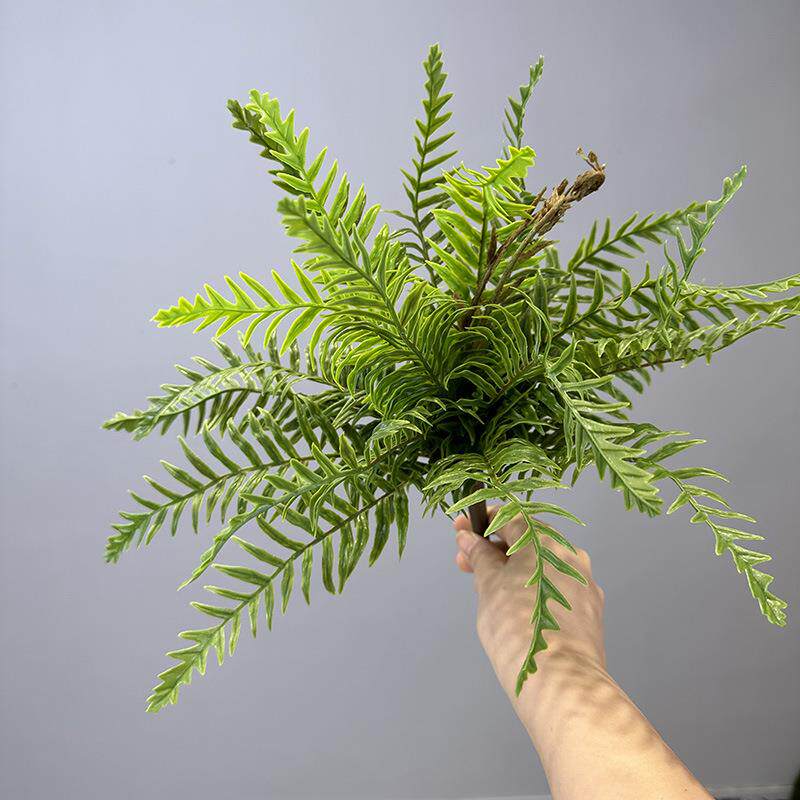 仿真蕨叶排草蕨类波斯草植物蕨叶蕨草植物墙波斯叶鱼尾蕨仿真草