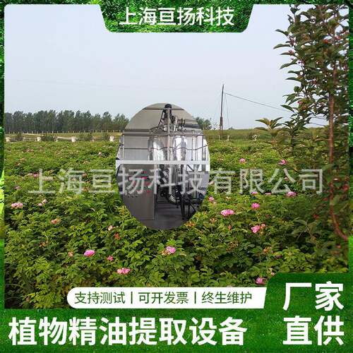 玫瑰精油提取设备生产型实验型多功能植物精油提取设备