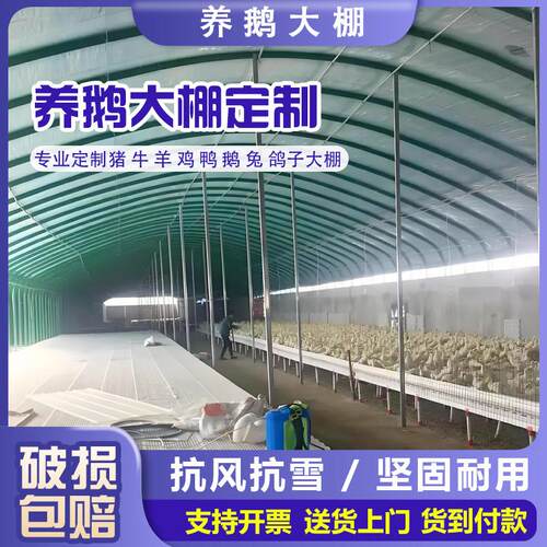 养殖大棚骨架钢管全套温室种植家用蔬菜棚鸡鸭鹅支架拱杆搭建镀锌