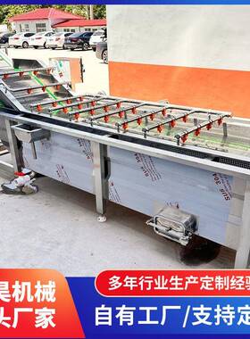 商用全自动果蔬气泡清洗机水果净菜加工大枣土豆地瓜喷淋清洗