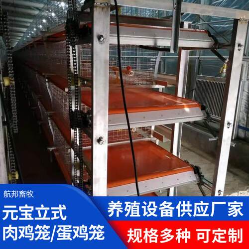 立式元宝蛋鸡笼全自动养鸡设备层叠式养殖鸡笼养殖厂鸡用养殖笼