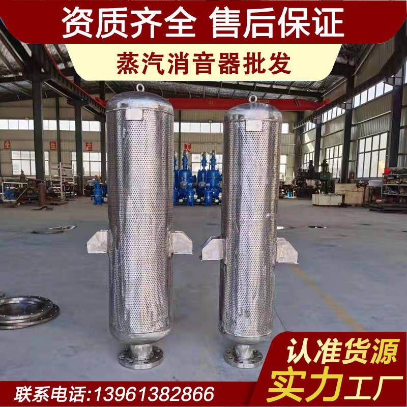 小孔消音器安全阀消声器放空消音器蒸汽排放消声器