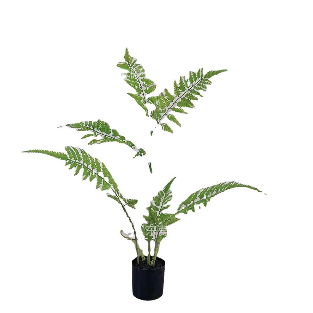 仿真绿蕨植室内外家居植蕨盆栽禅意厥猴头羽毛客厅绿造景庭院装饰
