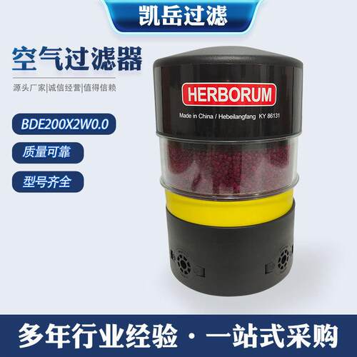 BDE200X2W0.0空气呼吸器油箱干燥器风电齿轮箱除湿过滤器滤芯