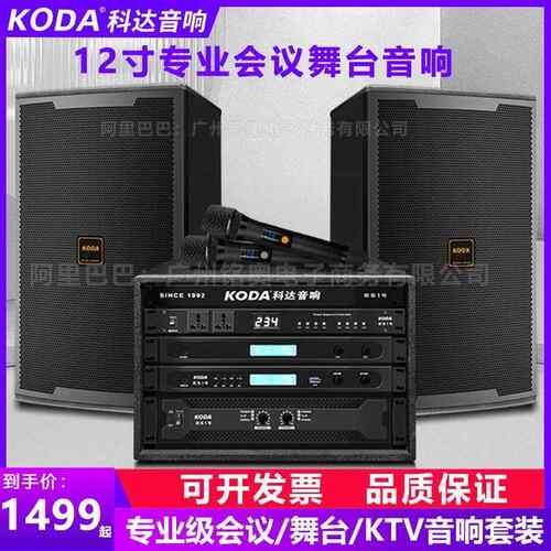 科达专业会议音响套装教室舞蹈室培训舞台婚庆演出音箱家庭ktv