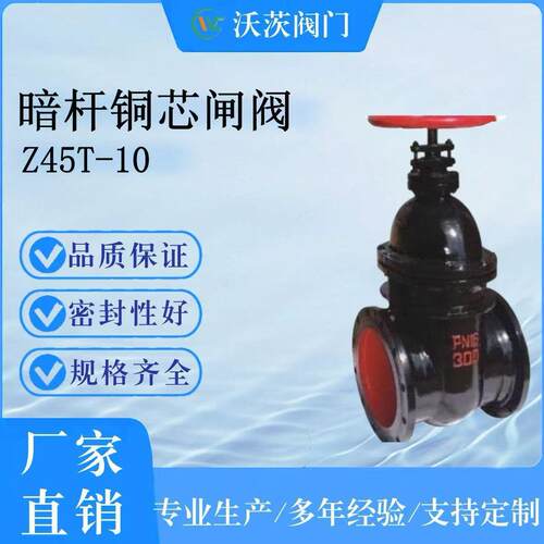 长期供应天津塘沽沃茨阀门Z45T-10 DN300法兰闸阀