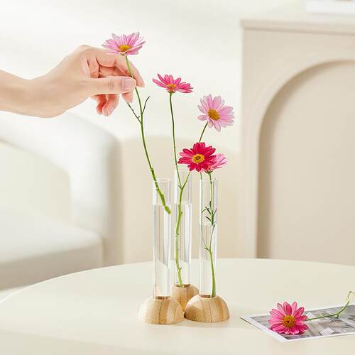 Large Clear Vase for Living Room and Office - Hydroponic Ros