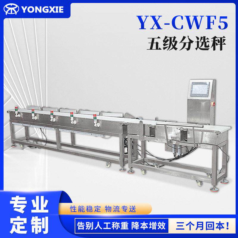 定制YX-CWF5五级分选秤食品重量检测多级分选全自动分拣设备