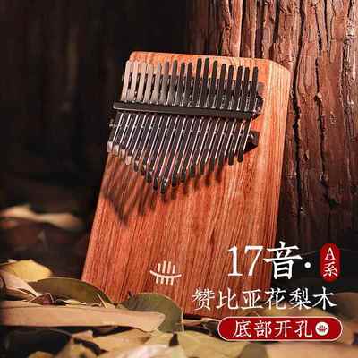 高档儒指琴卡林巴琴花梨木正品拇21音kalimb指a乐鲁器专业级手琴