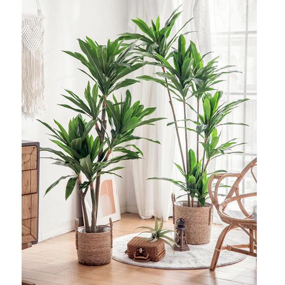 仿真植物假花绿植铁树大型落地盆栽装饰花卉家居装扮
