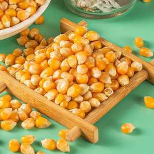 球形型爆米花专用玉米粒爆裂奶油味套装空气炸锅烤箱专门做玉米粒