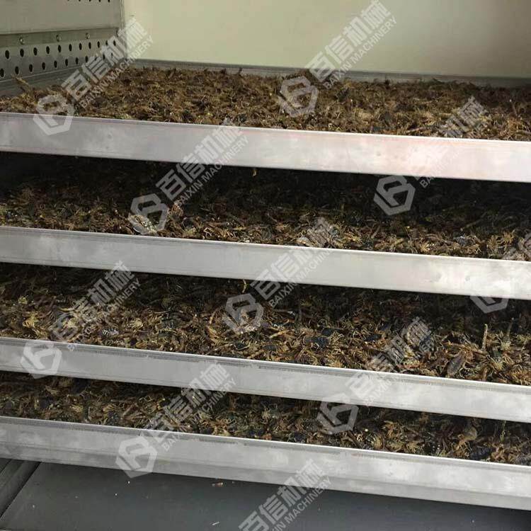 百信机械中药材烘干机连续式蝎子烘干设备中草药干燥机