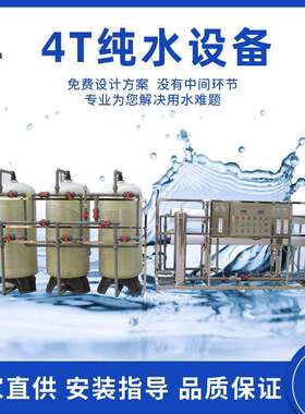 纯水设备4TRO反渗透去离子水设备净水设备水处理纯水设备厂家
