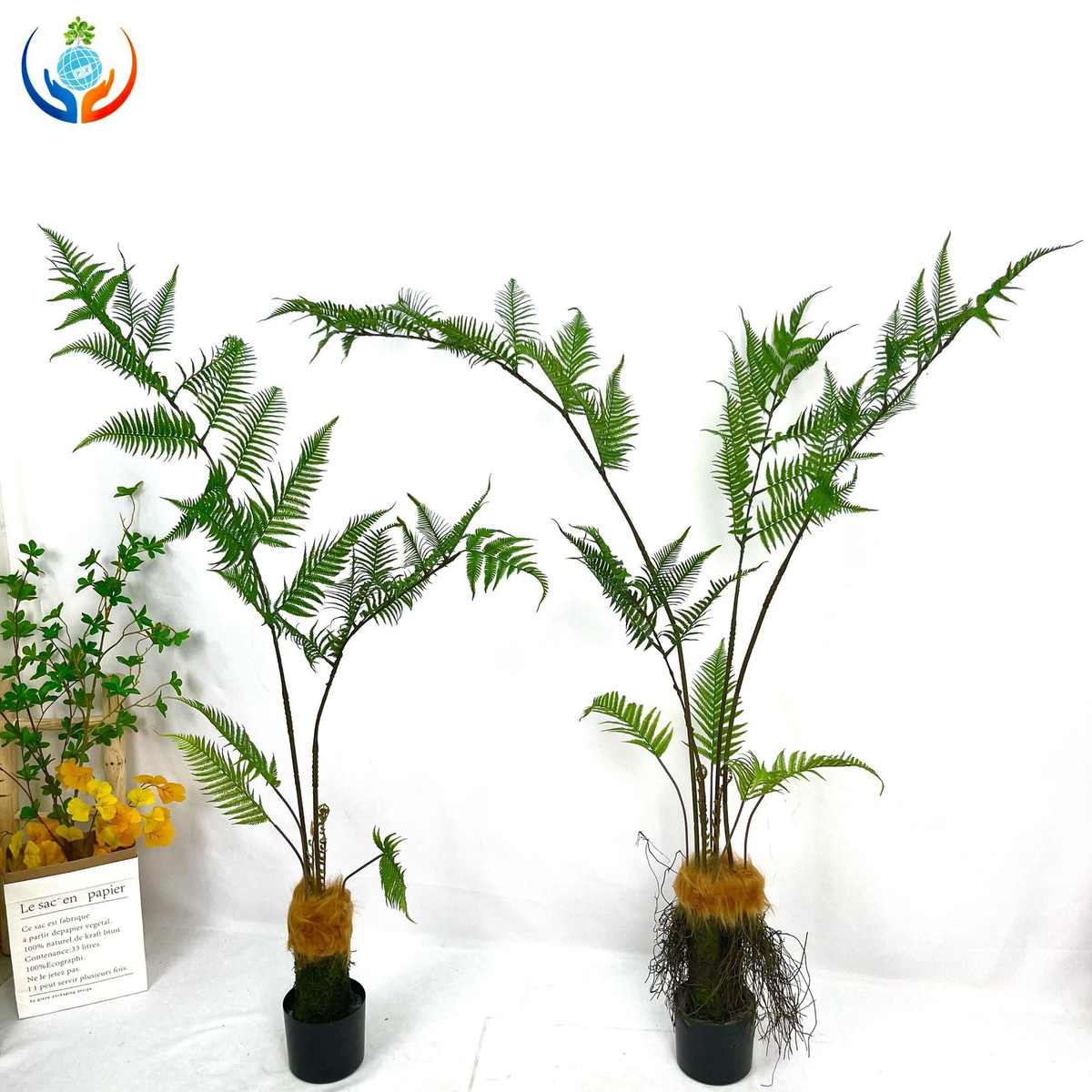 仿生绿植造景仿真金丝猴阙猴头蕨类植物盆景室内客厅盆栽装饰摆件