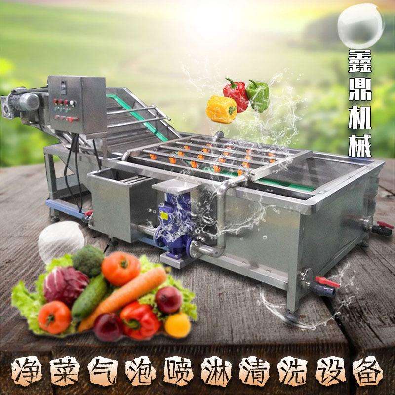 不锈钢蕨菜清洗机野菜气泡清洗设备喷淋清洗干净水可循环利用