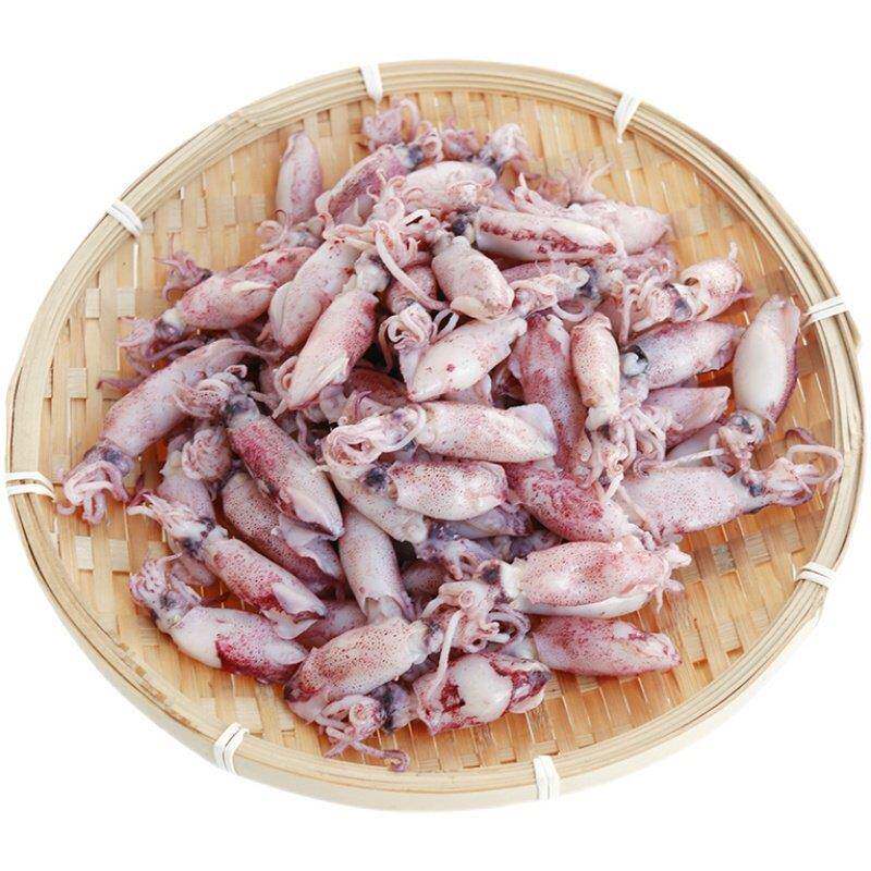 即食小鱿鱼熟鱼吹筒仔笔管鱼饭潮汕福建小海兔包邮