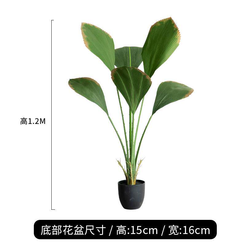 盆栽绿室内植苏门答腊客厅大型北欧落地假植秋色仿真装饰物棕树