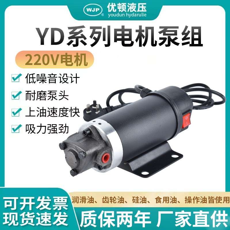 220V可携式静音抽油泵保养加油4s店抽油齿轮泵工业电动柴油齿轮泵