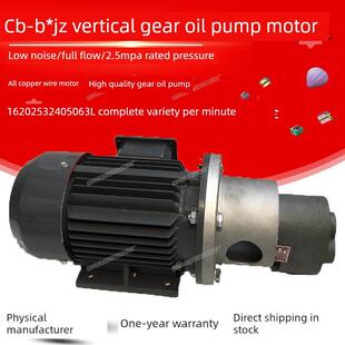B25 B32JZ齿轮油泵电机组LWBZ 20立卧式 B16 泵组 B20