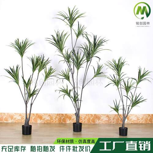 大型绿植装饰千年木铁树仿真龙血树假绿植 室内软装造景仿真绿植