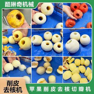 巧克力脆柿子削皮取芯机西红柿去皮去芯机梨子苹果削皮去核切瓣机