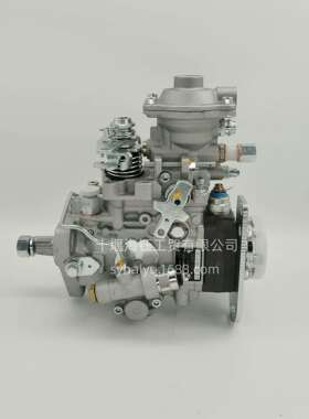 0460426373VE泵发动机喷油器燃油泵VE6/12F1100R962-53963959