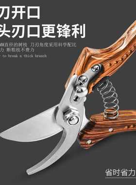 果树鸟嘴锋利修枝 园林专业级果枝剪pruning剪刀shears园林剪剪