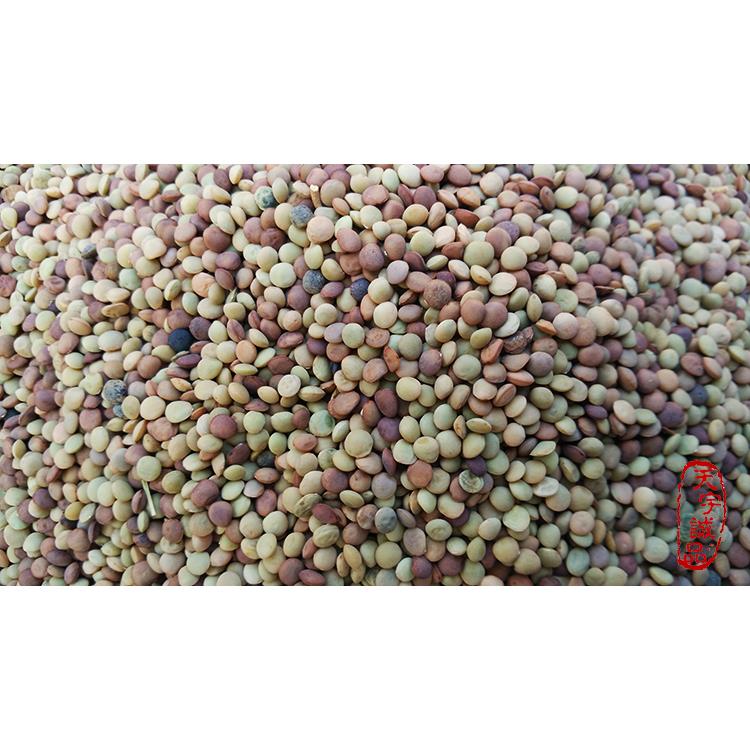 陕西农家山地小扁豆 新货滨豆冰豆小扁豆五谷杂粮500g