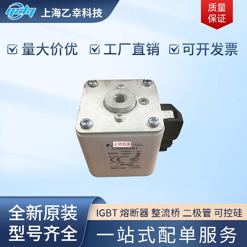巴斯曼熔断器 170M5887 170M5888 170M5889 170M5922 170M5923 - 实物图