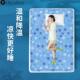 凝胶冰垫床垫冰枕夏天单人宿舍降温床上冰凉免注水坐垫冰床垫
