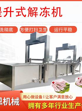 冻块肉解冻机鱼类解冻清洗机连续式肉类解冻设备提升解冻机