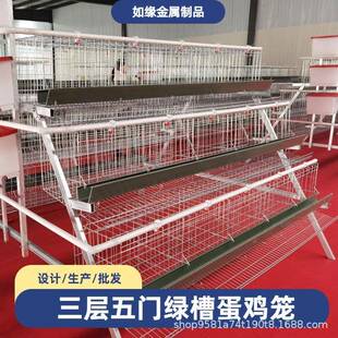 三层五门绿槽阶梯蛋鸡笼养殖场提高产蛋率养鸡笼鸡舍冷镀锌鸡笼子