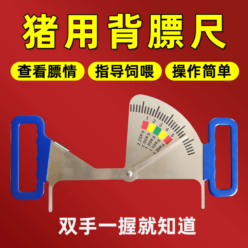 猪用饲喂卡尺不锈钢喂料管理尺猪用膘情测定指导器妊娠母猪背膘尺