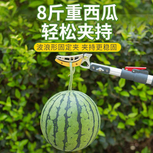 摘果伸缩杆高空采摘果子高枝剪摘水果荔枝杨梅龙眼摘果器剪刀