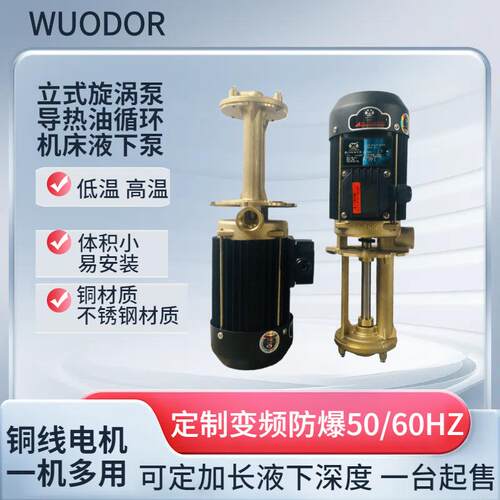 415V机床液下泵WL-07-150立式单级离心冷却循环水泵铜叶轮泵体