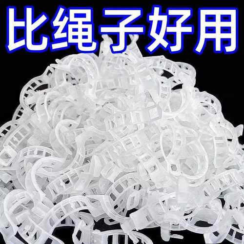 Green plant and fruit tree fixation clips, branch fasteners,