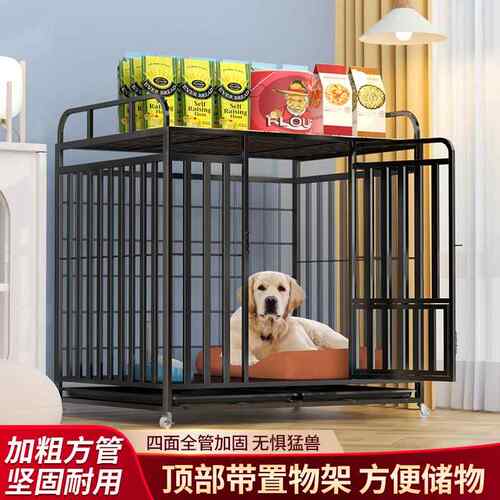 狗笼子小型中型犬室内带厕所边境牧羊犬小型宠物笼狗狗拉布拉多金