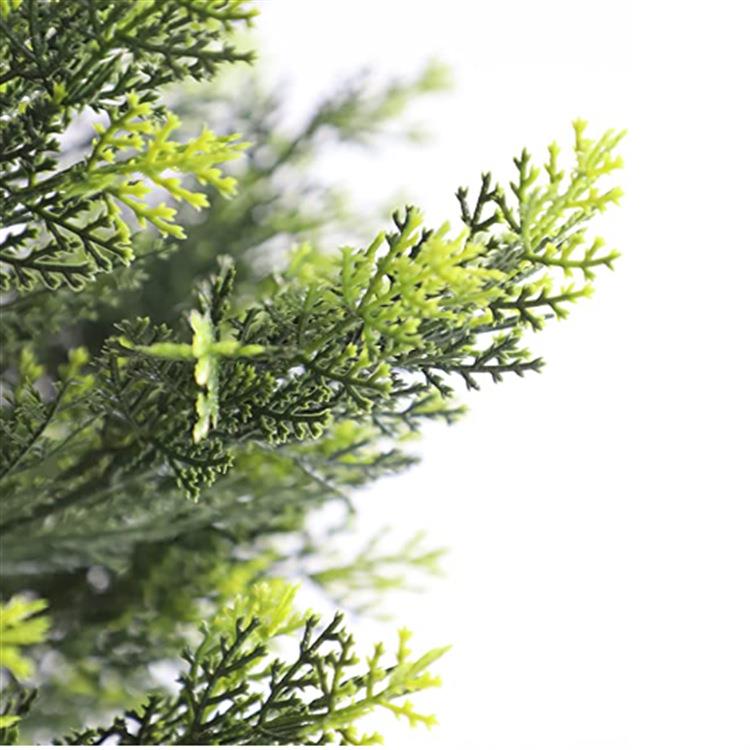 树真发形万年青松柏假热散带绿植NQB装饰摆件花卉盆景盆仿栽松针