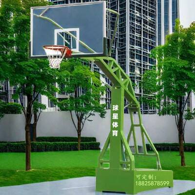 南连港淮安球星篮球架常州篮球架苏云189州标准通篮球架室内篮外