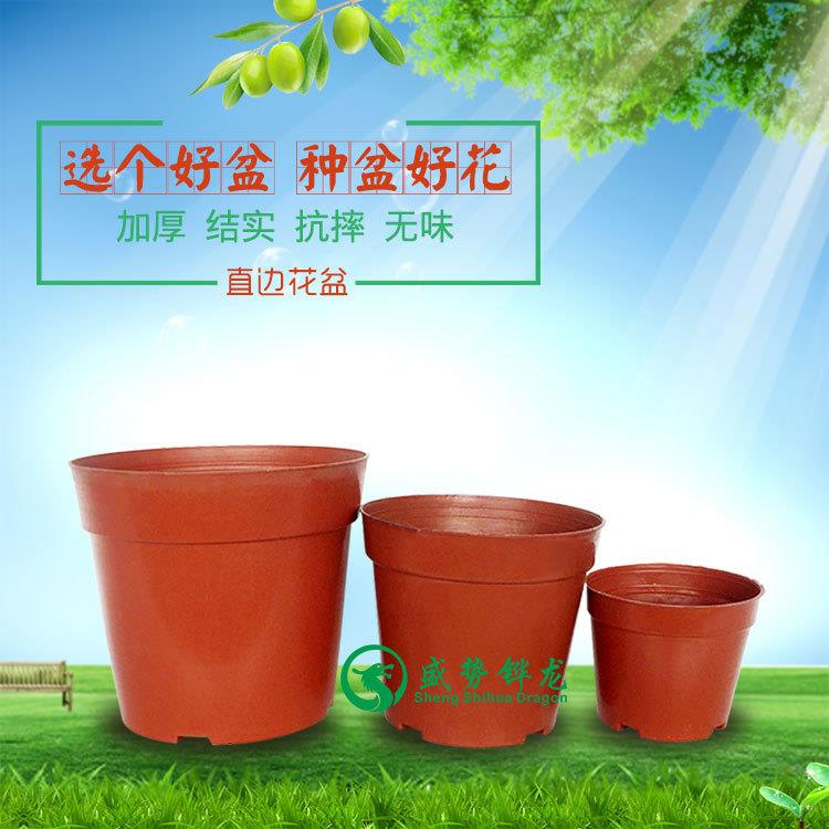 塑料花盆普通红色圆形花盆底部网状圆盆多肉花盆热销直边